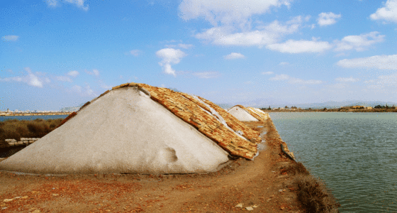 Visita guiada de las salinas de Trapani